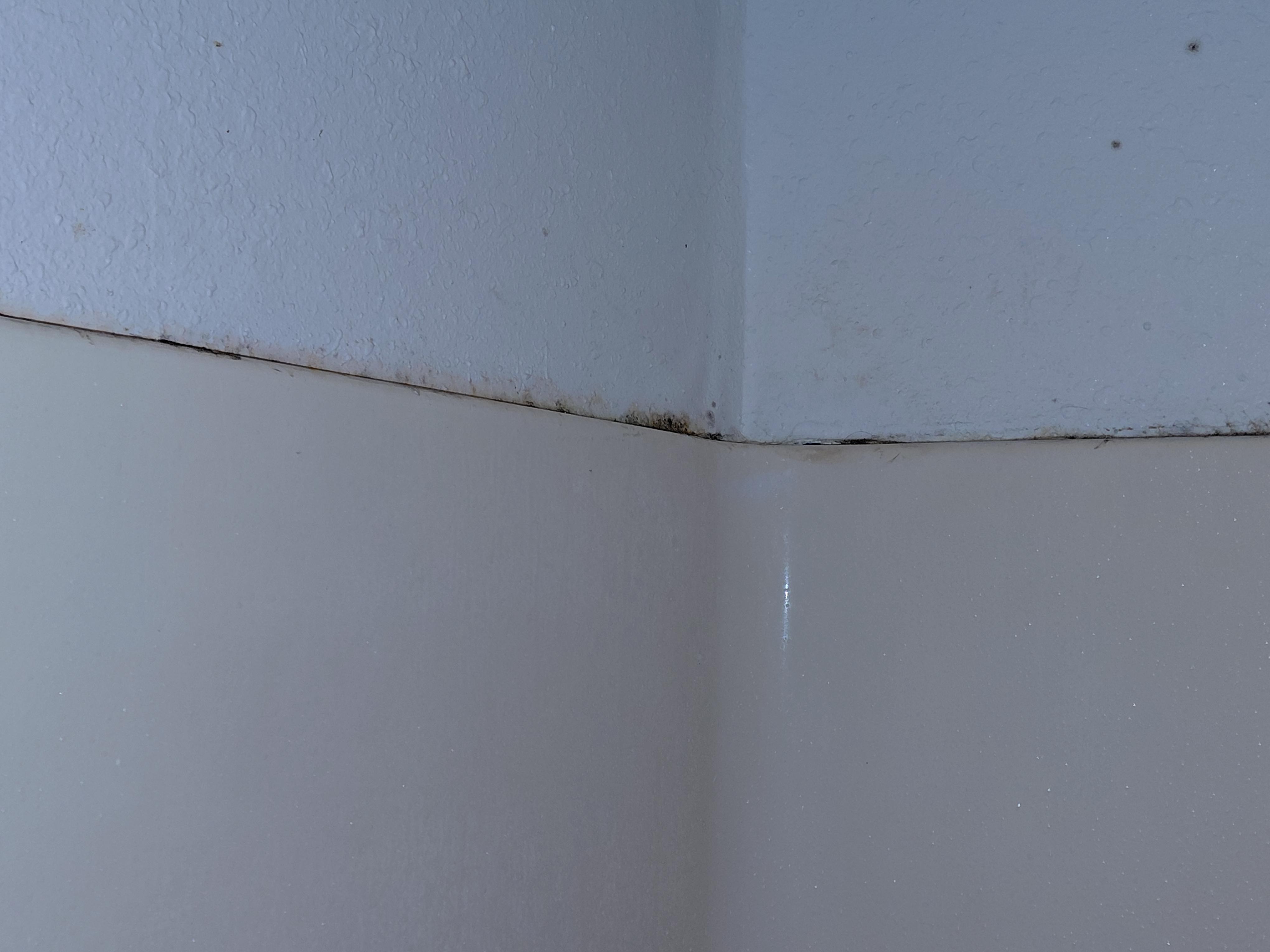 Mold in the shower(2)