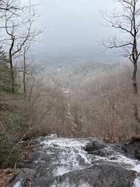 Amicalola