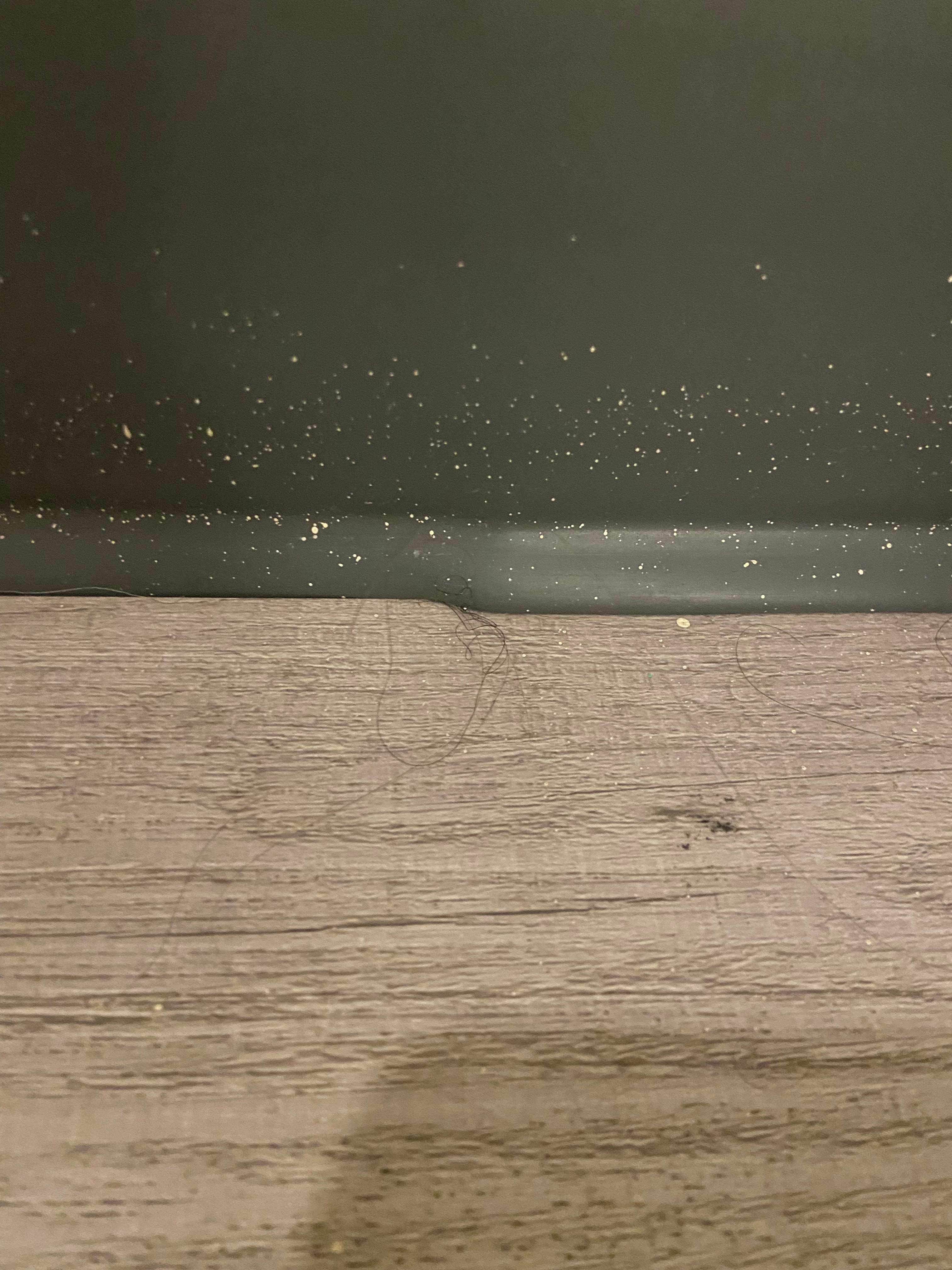Hair and sand all over the floor