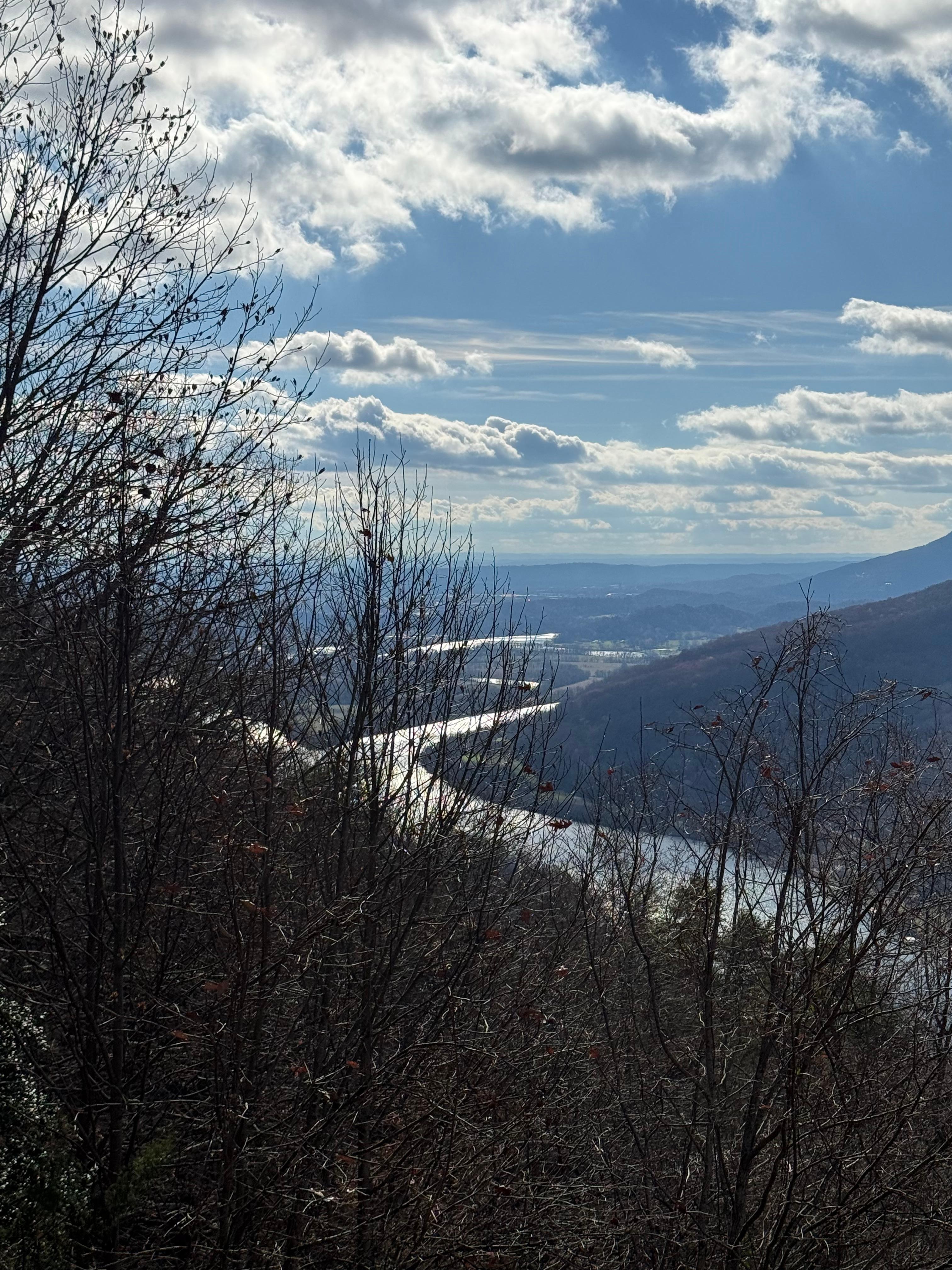 Top of Signal Mountain