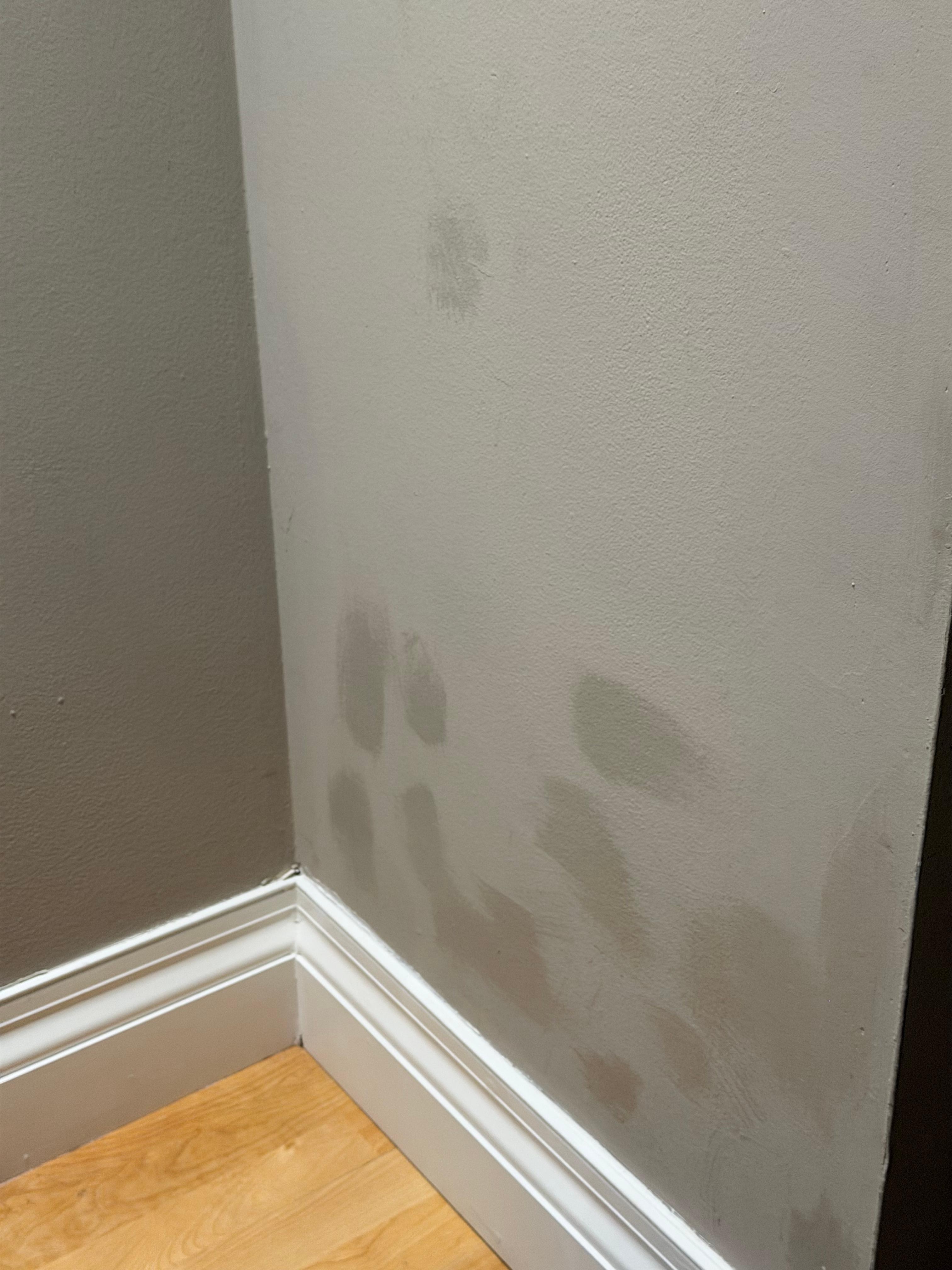 Wall touch ups mismatched