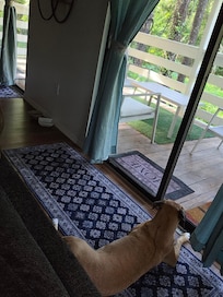 Ellie liked watching the kitties too :P