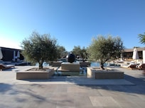 Pool Area with Olive Trees and Fountain