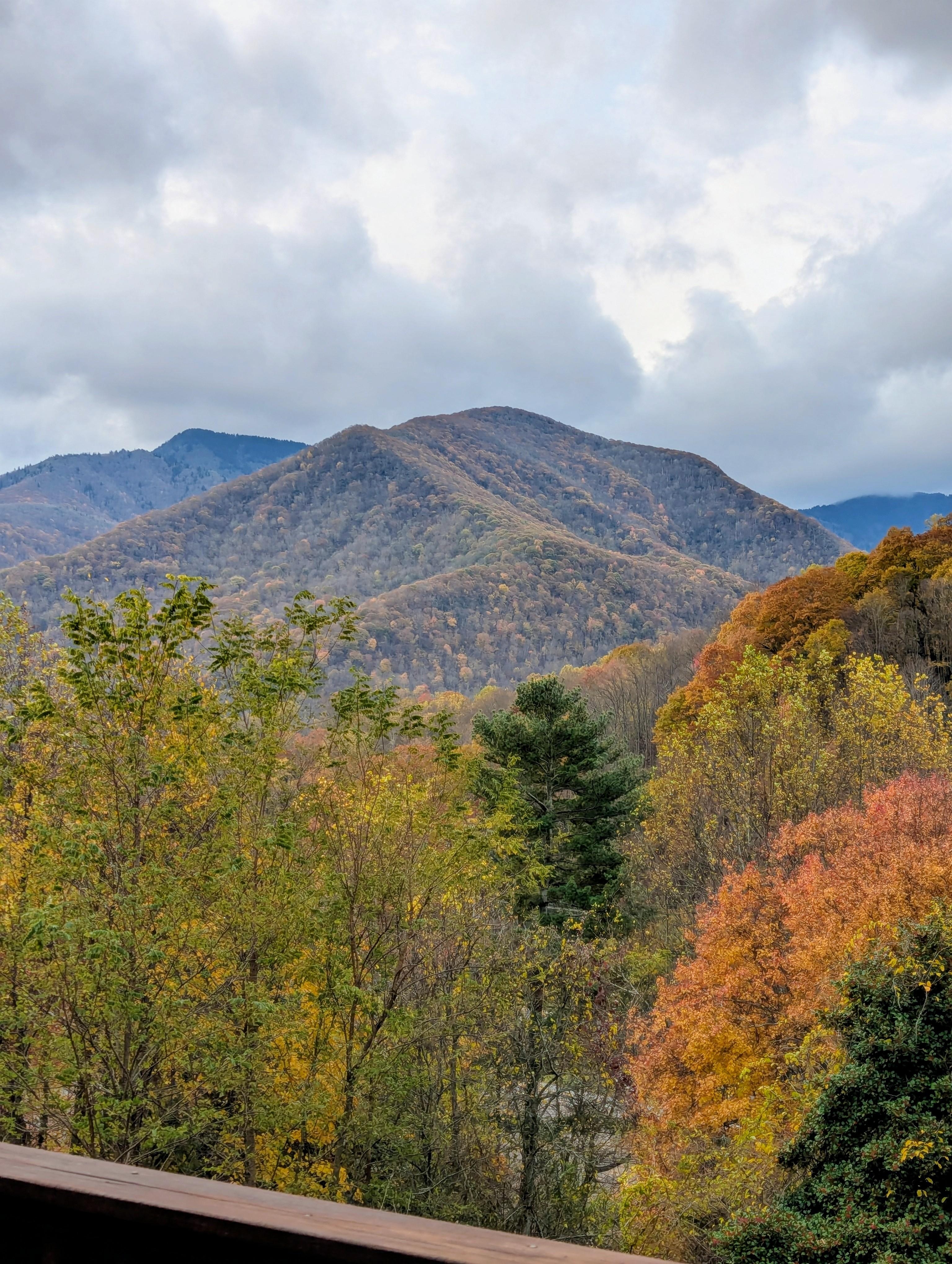 Gorgeous view off the deck.