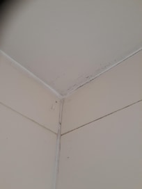 Black mould in shower other wall
