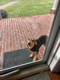 And you might get a visitor (love it)