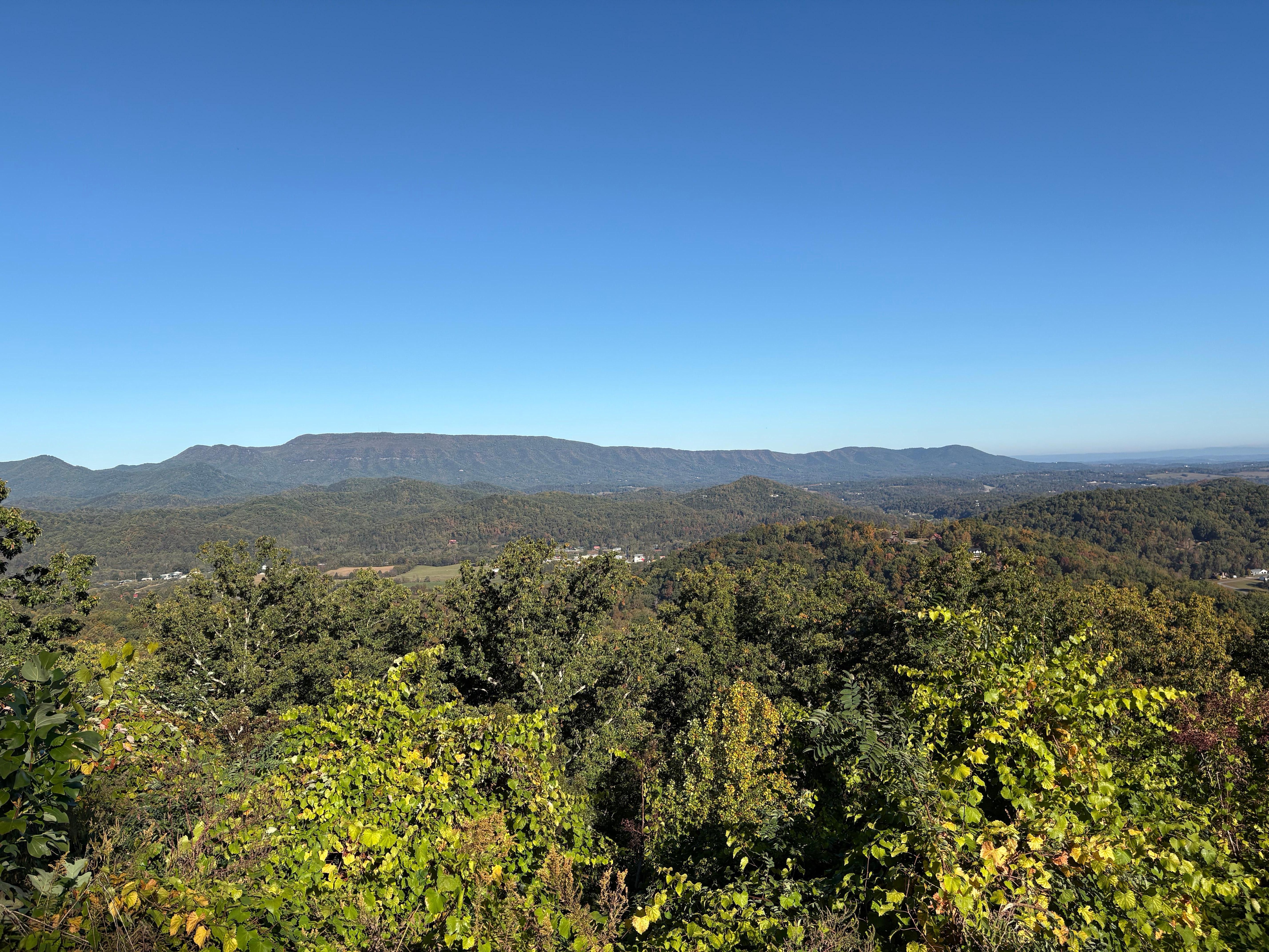  View from the porch. 