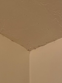 Mold in the bathroom