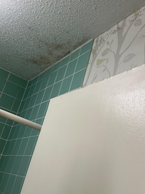 Moldy shower
