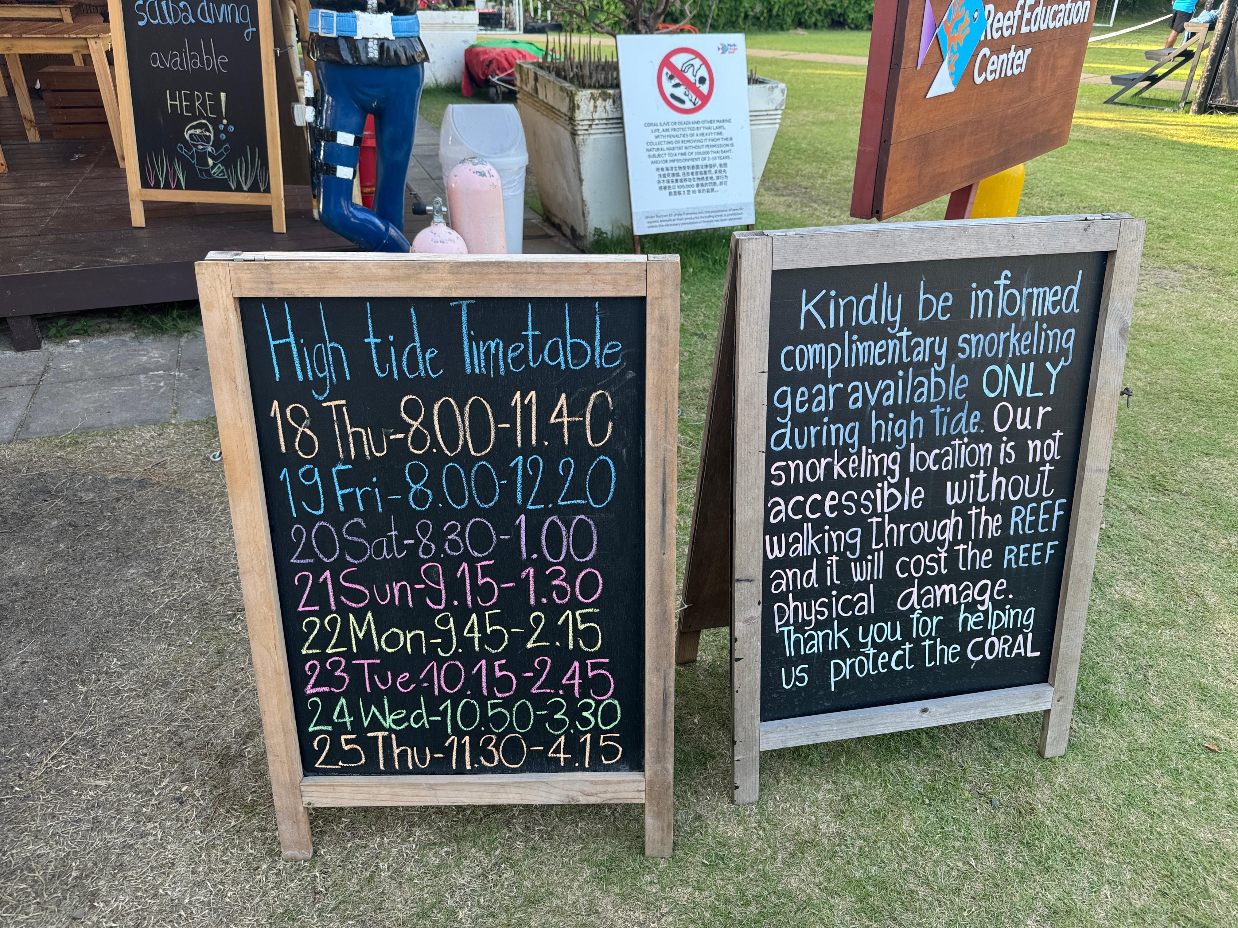 Snorkeling gear rental for free during high tide daily 