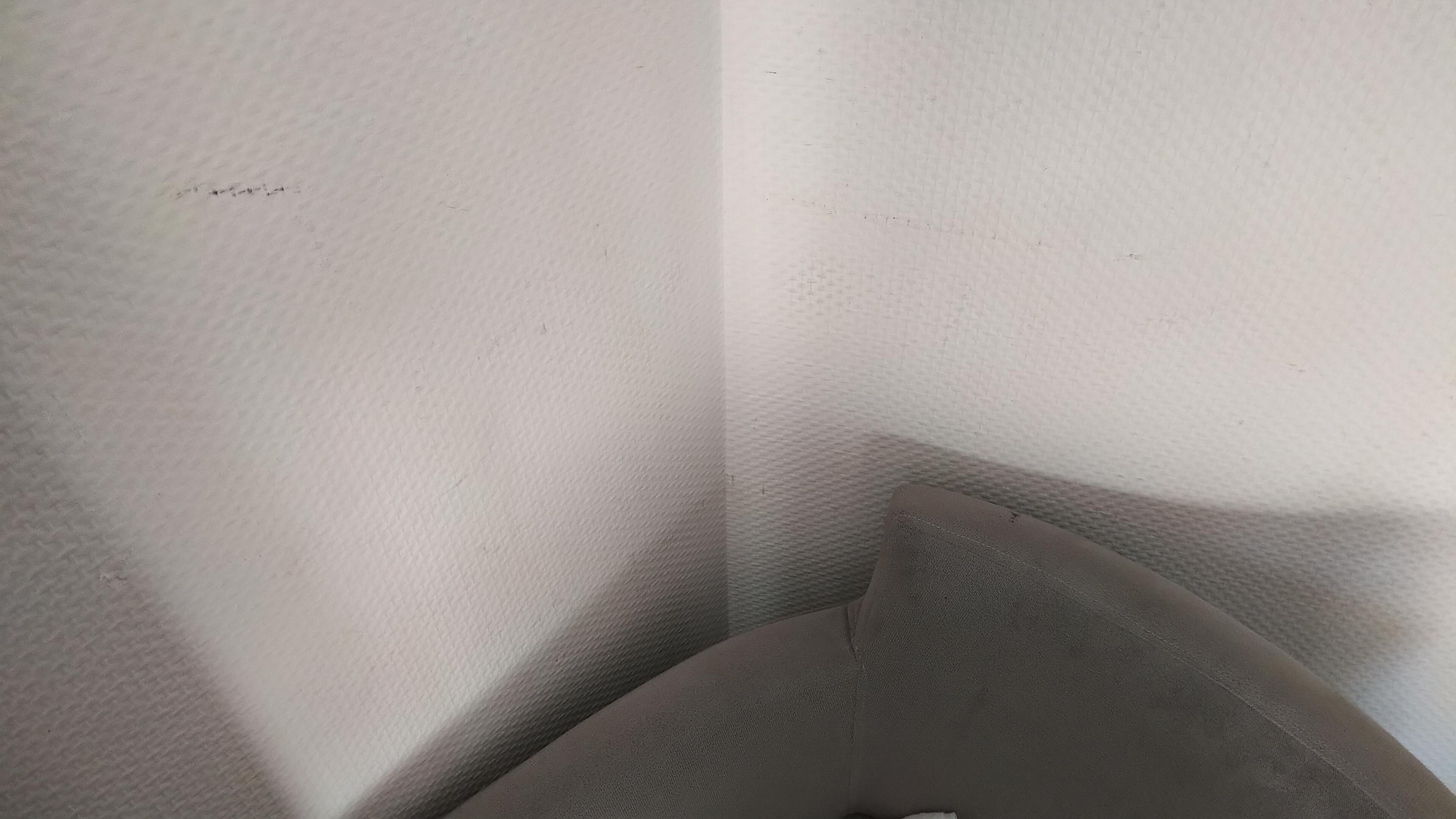 the walls arent clean and had many stains. No blankets in the room and no tea coffee packs.  i have more pics of the toilet but i dont want to post it. 