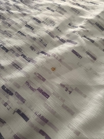 A stain on the bedding and it was hair in the shower that WAS NOT ours