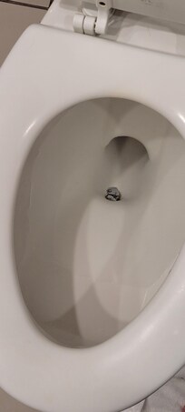 Someone's credit card clogging toilet