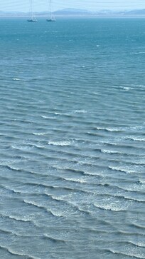 My view from my room