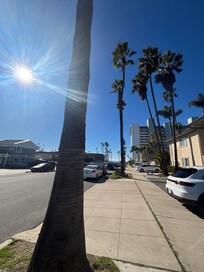 Ocean View from the Hotel