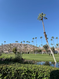 Beautiful grounds