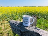 Avec le soleil, ce champs de canola était un endroit magique pour siroter notre café.