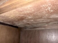 Mold