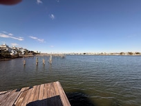 View from Picnic Table on Boat Dock in Back Yard.
