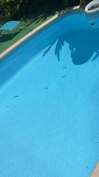 Saleté piscine
