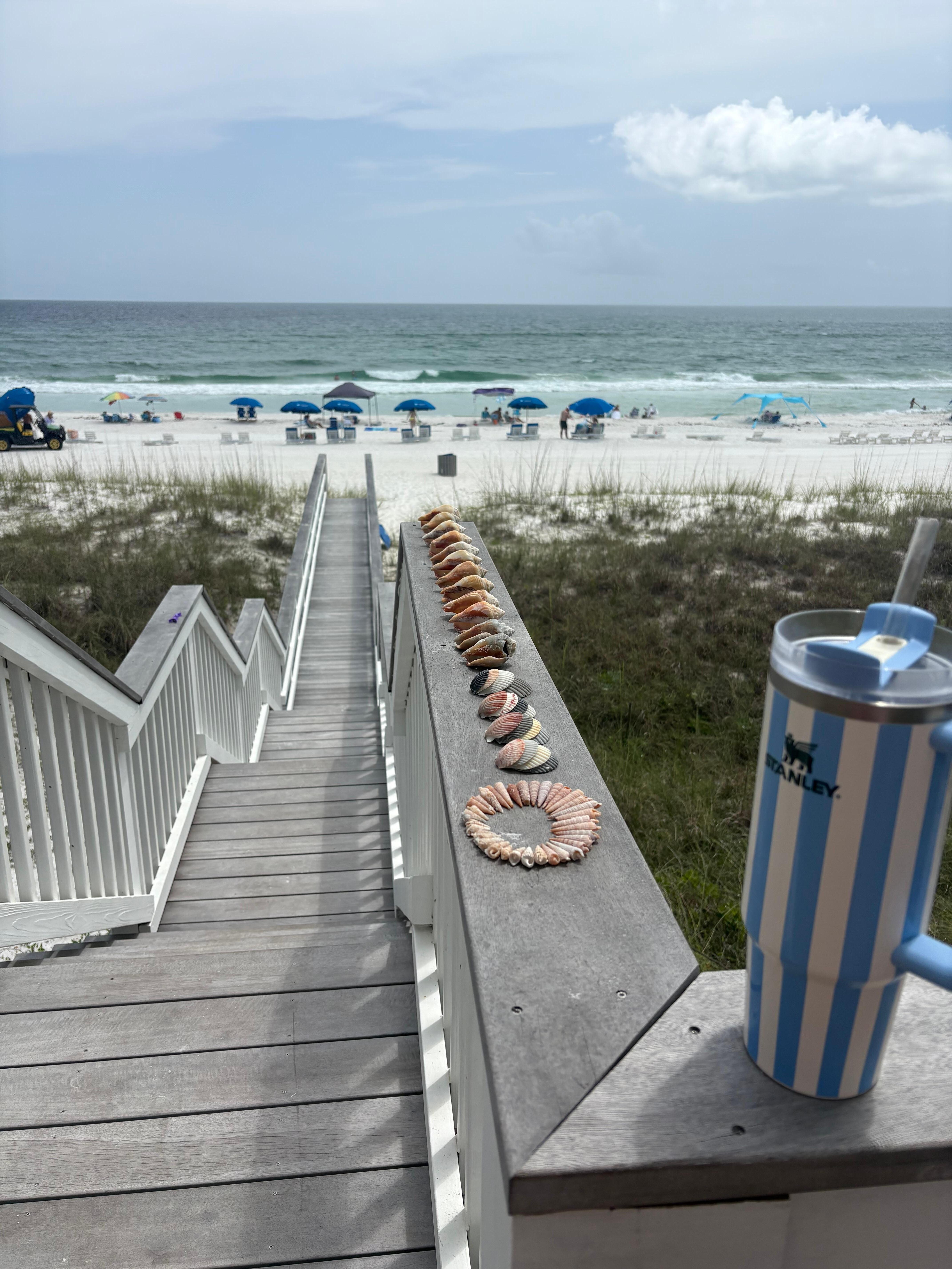 Great shell day!