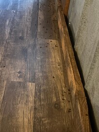 Dead bugs everywhere.