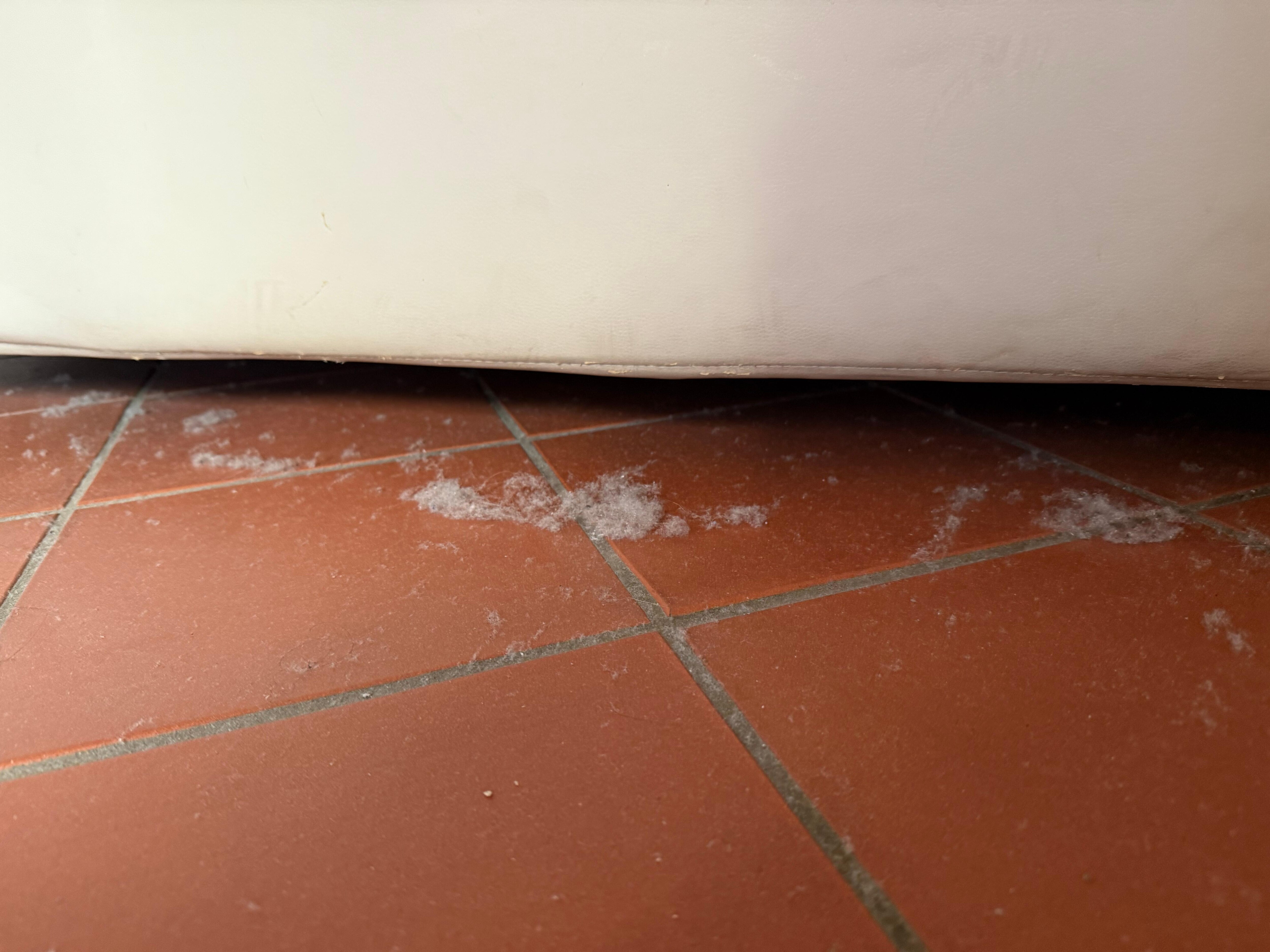 with a lot of dust and old toilet paper behind the bed from previous guests.