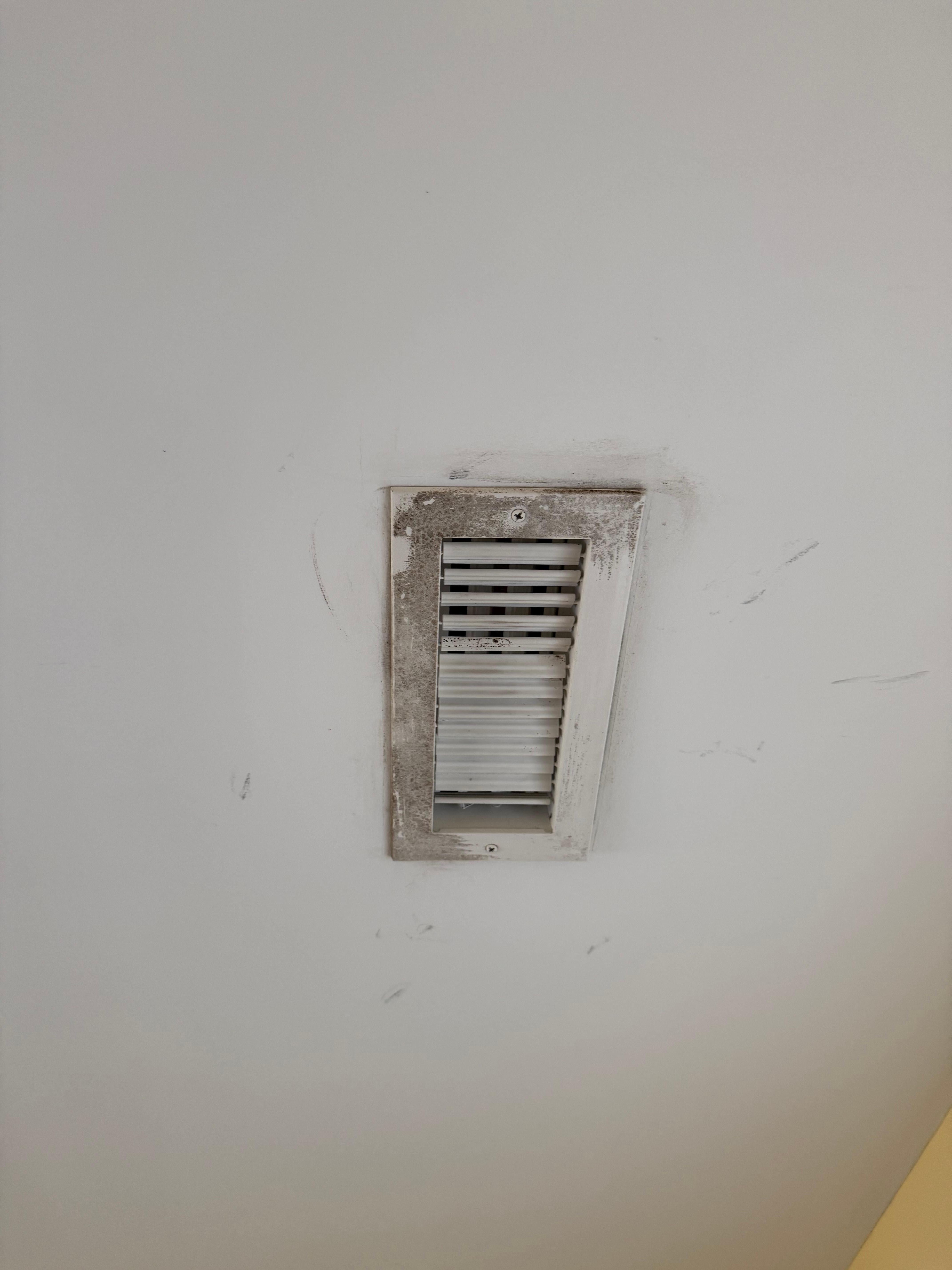 Mold 