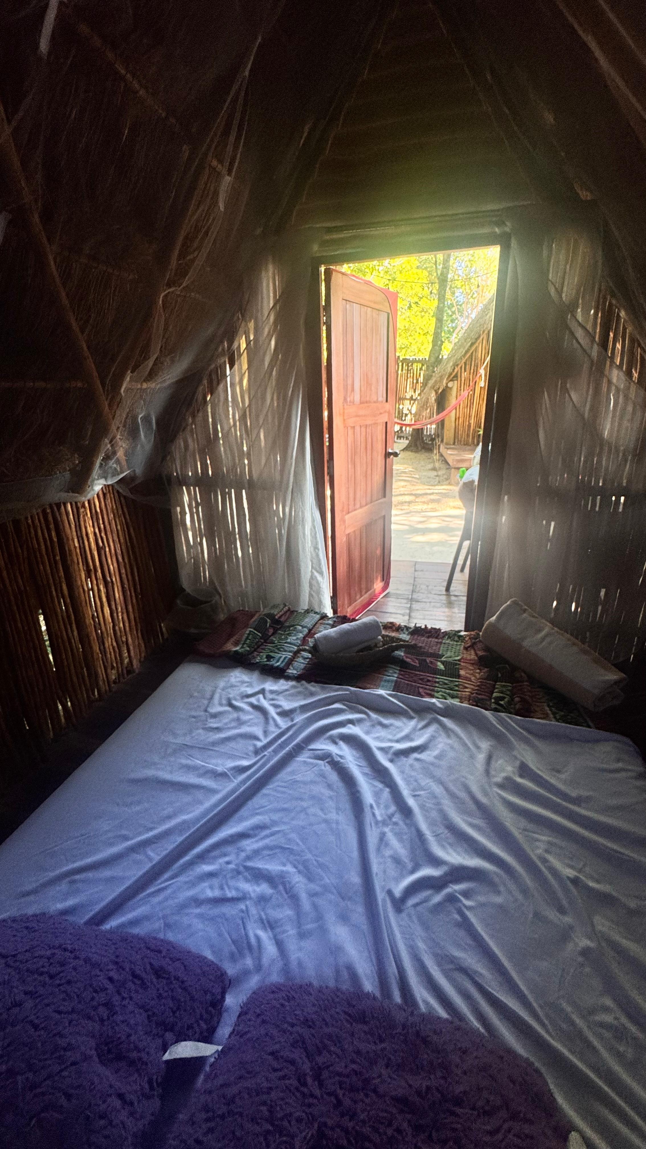 Looking out from the interior 