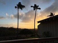 Loved watching those palm trees sway…