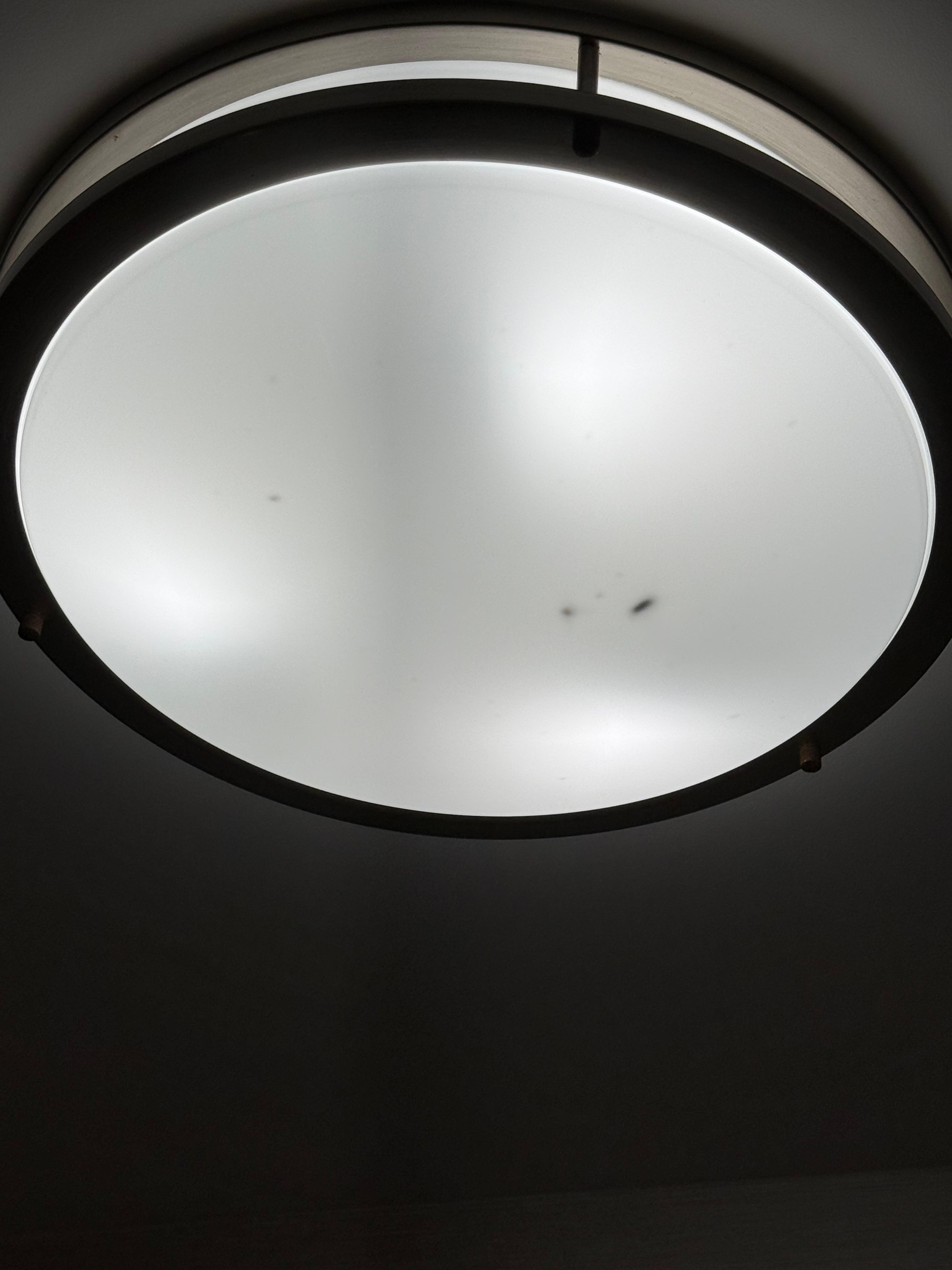 Dead bugs in light fixture 