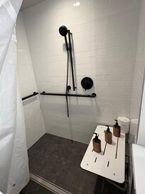 Walk in shower, accessible bathroom