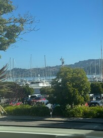 Room with a view!