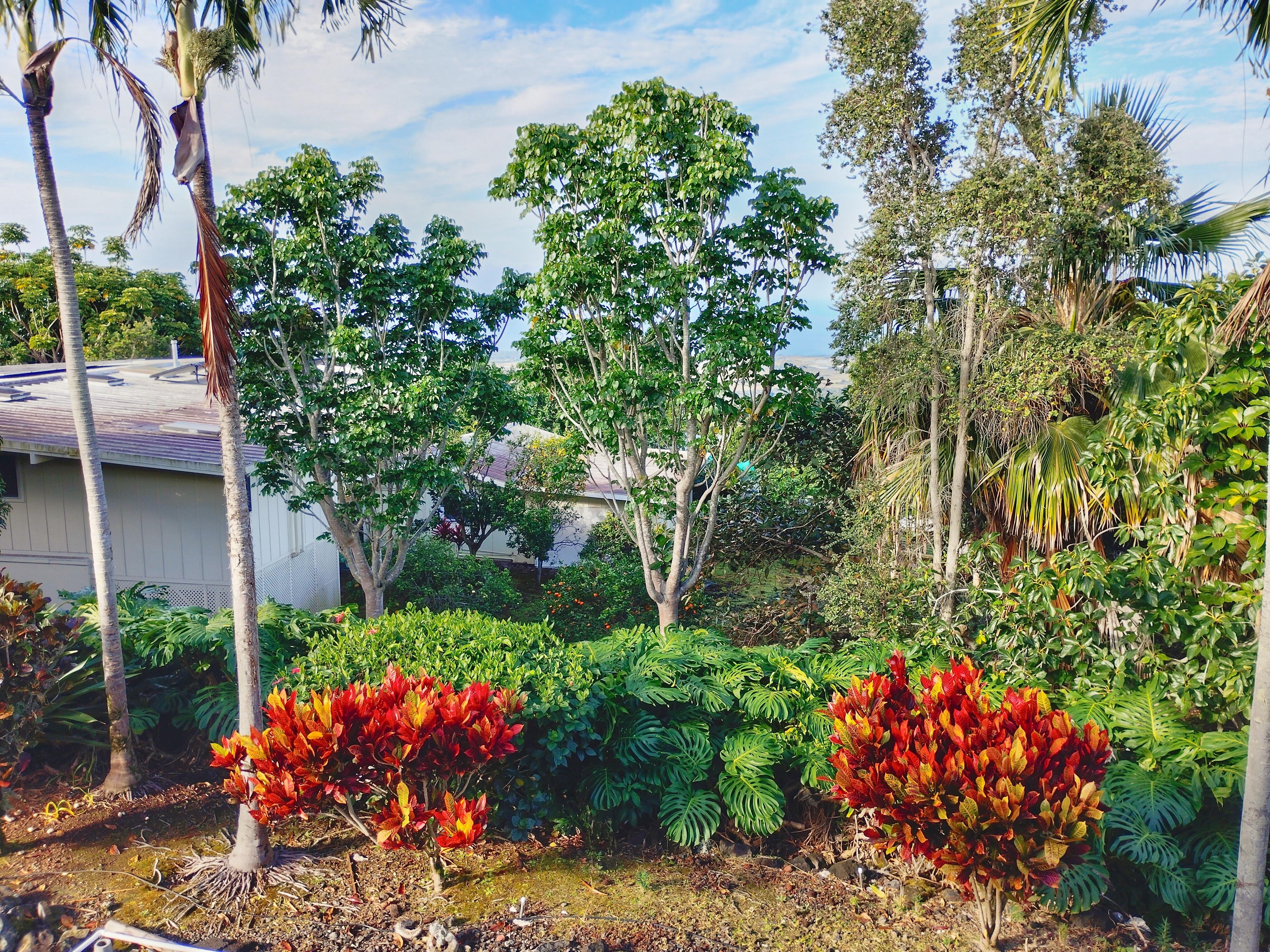 View straight out from the lanai (porch), looking down the mountain to the ocean.