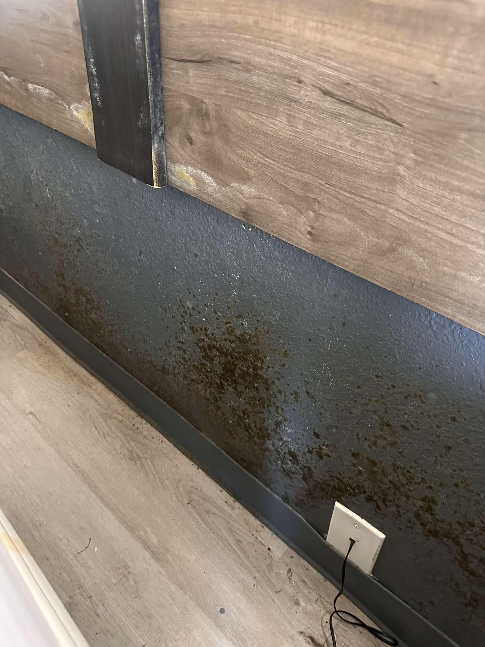 Mold all over the wall, bed frame and ac unit