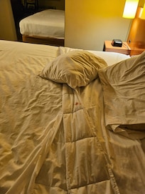 Dirty bedding