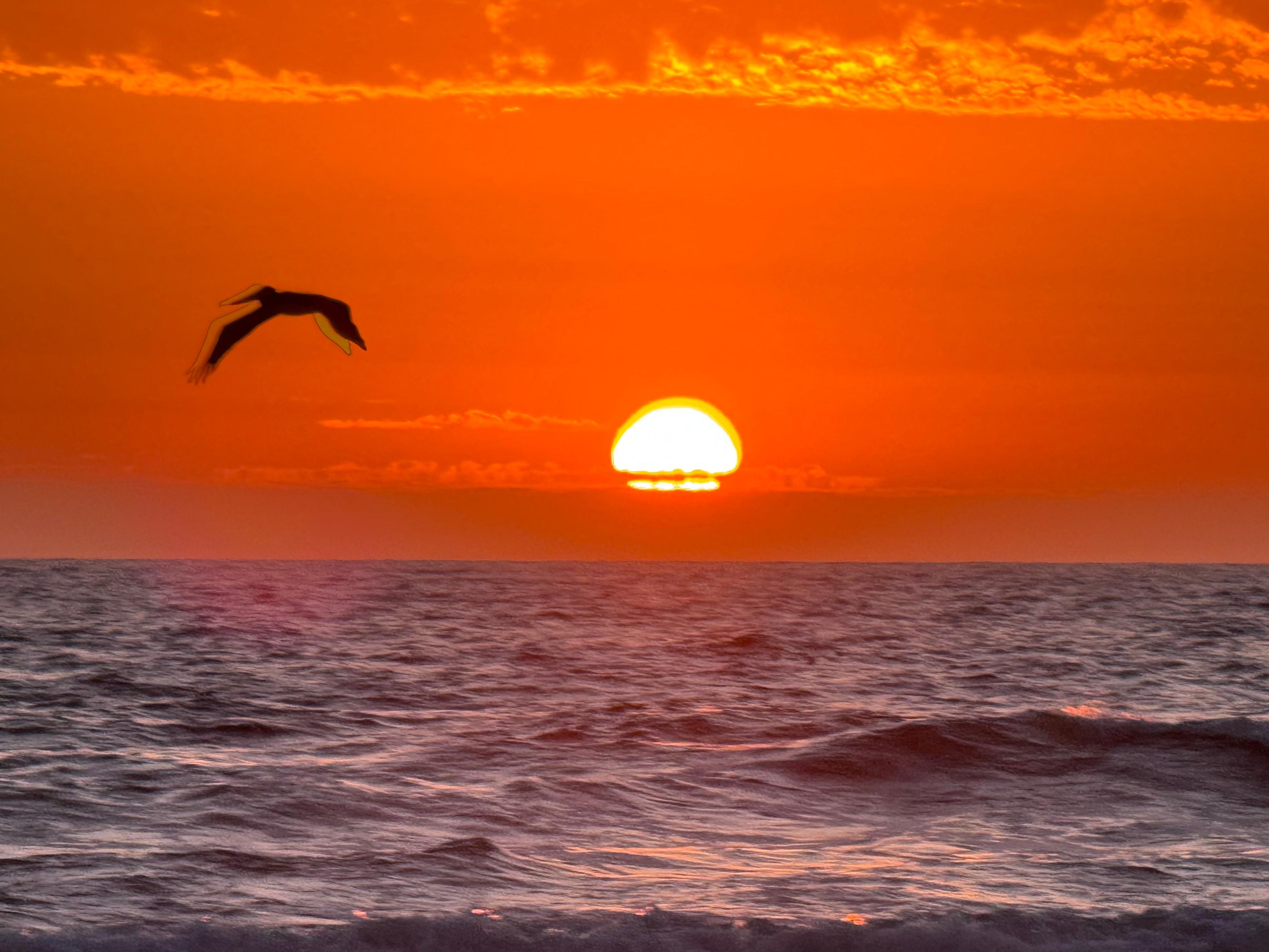 Sunset right out the front door of the condo! 