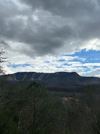 View from the back deck.