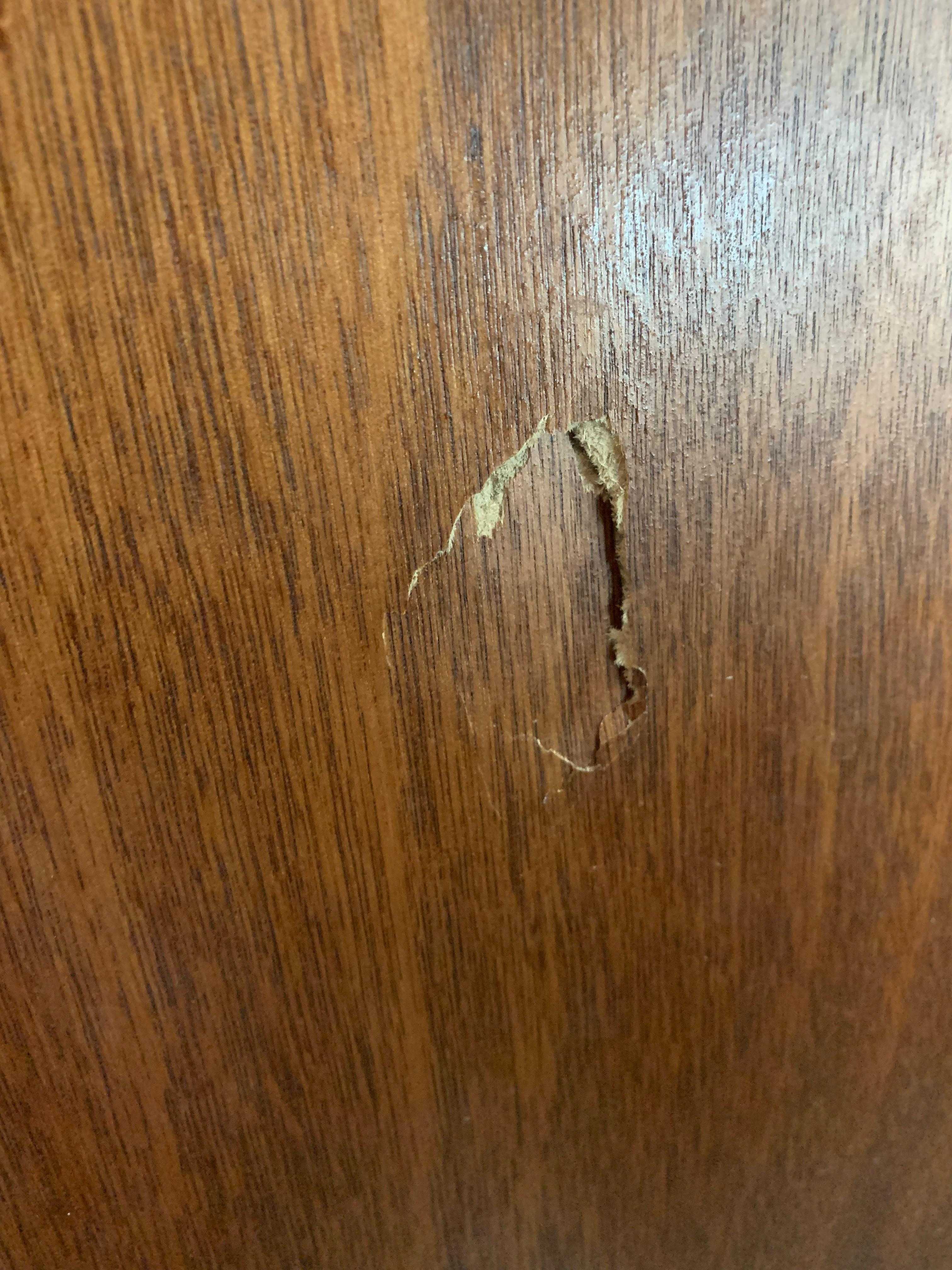 Hole in the bathroom door.