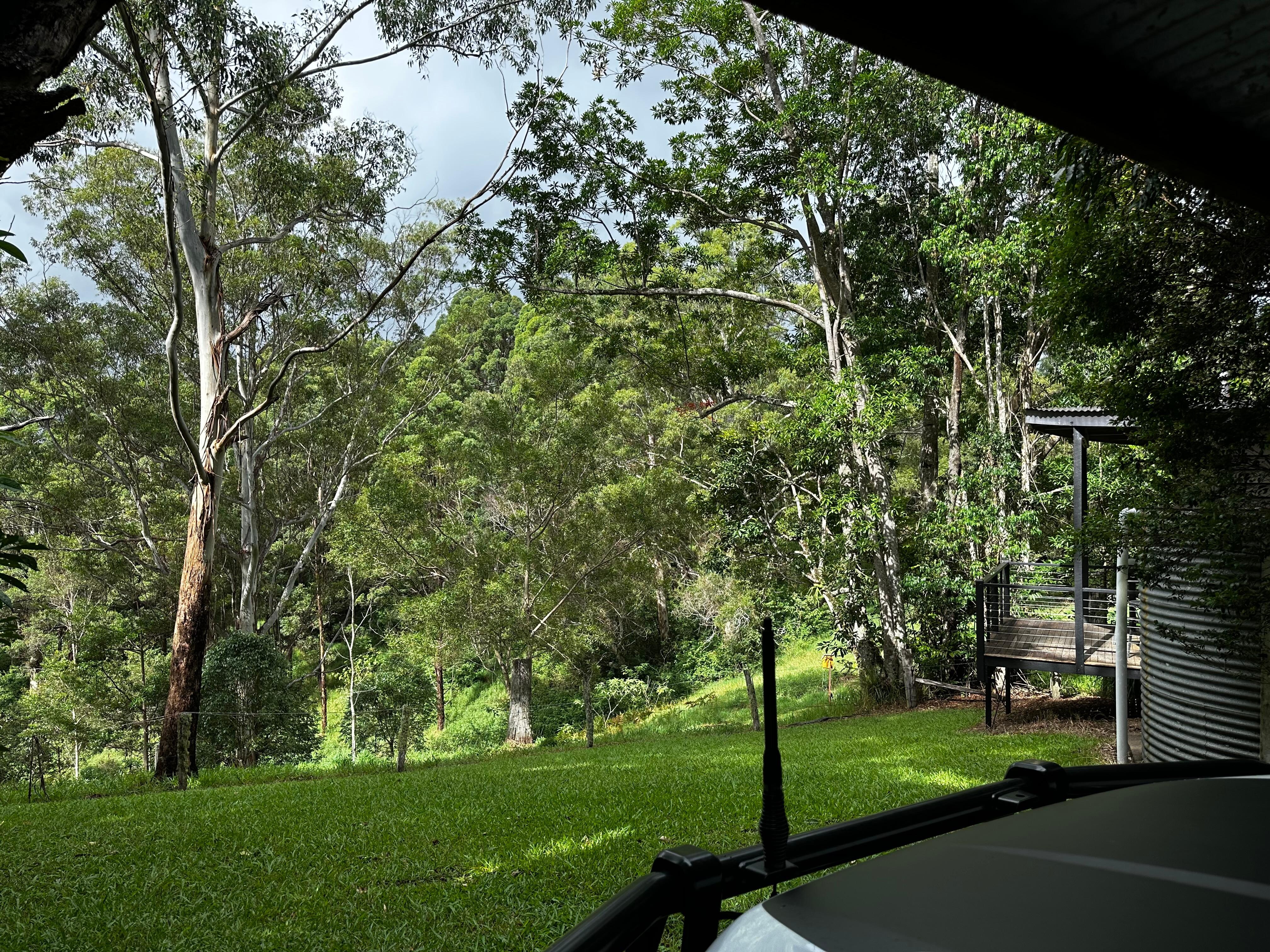 View from the carport. The cabin deck is on the right. 