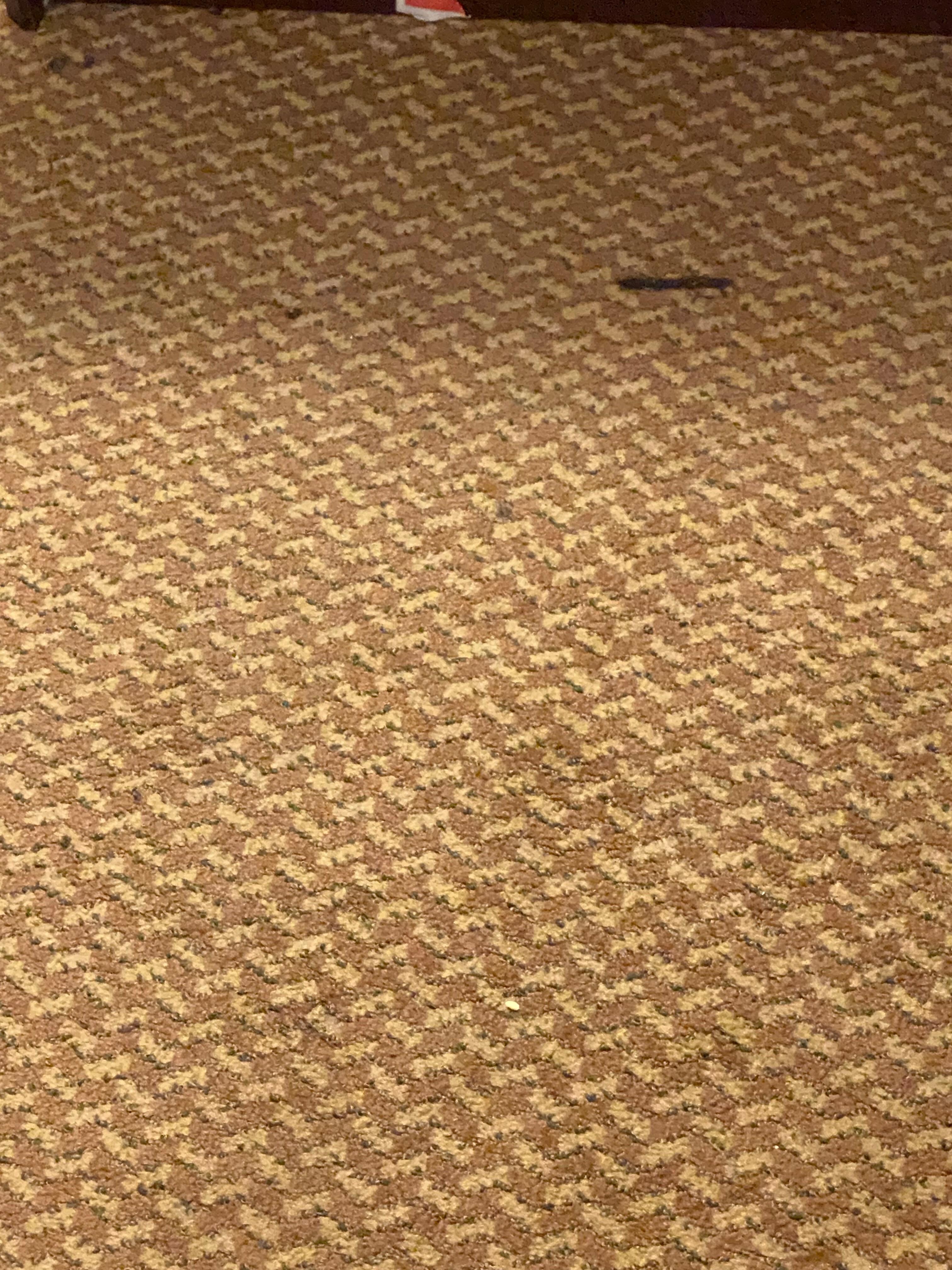 Dirty carpet