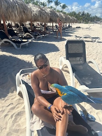 Made a friend on the beach!