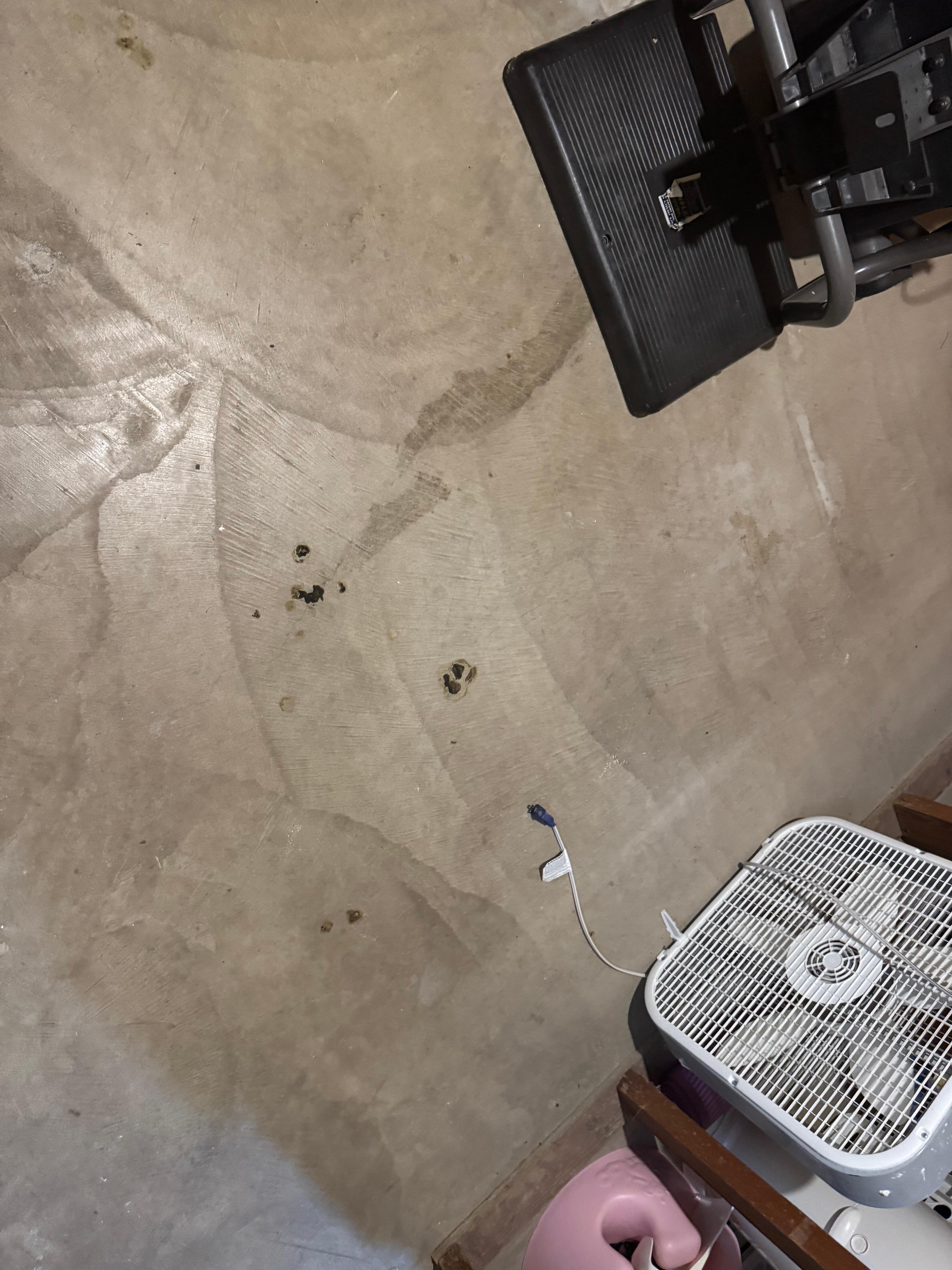 Another photo of same. 