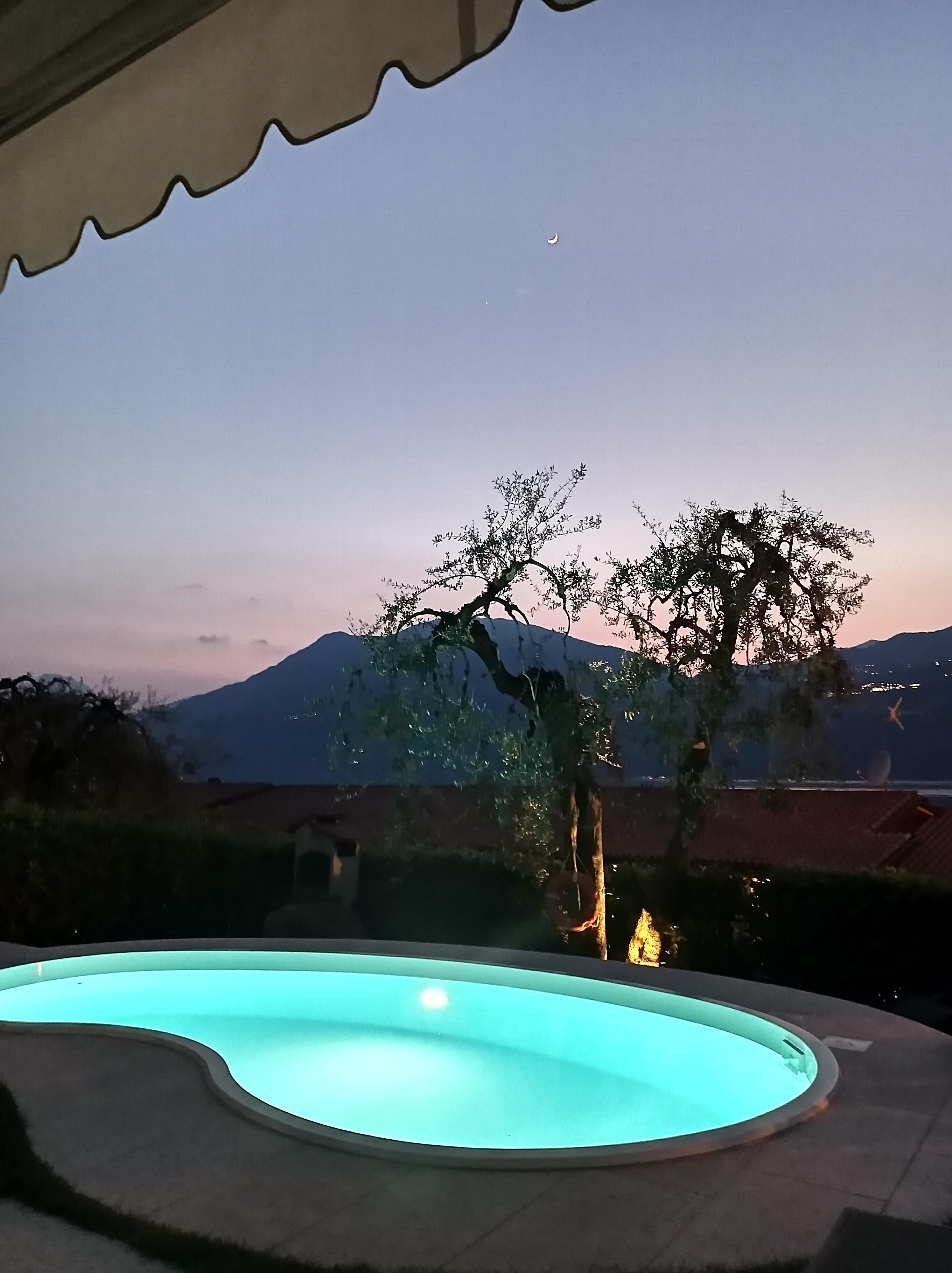 Pool in Backyard