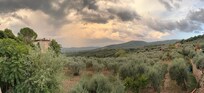 Aussicht