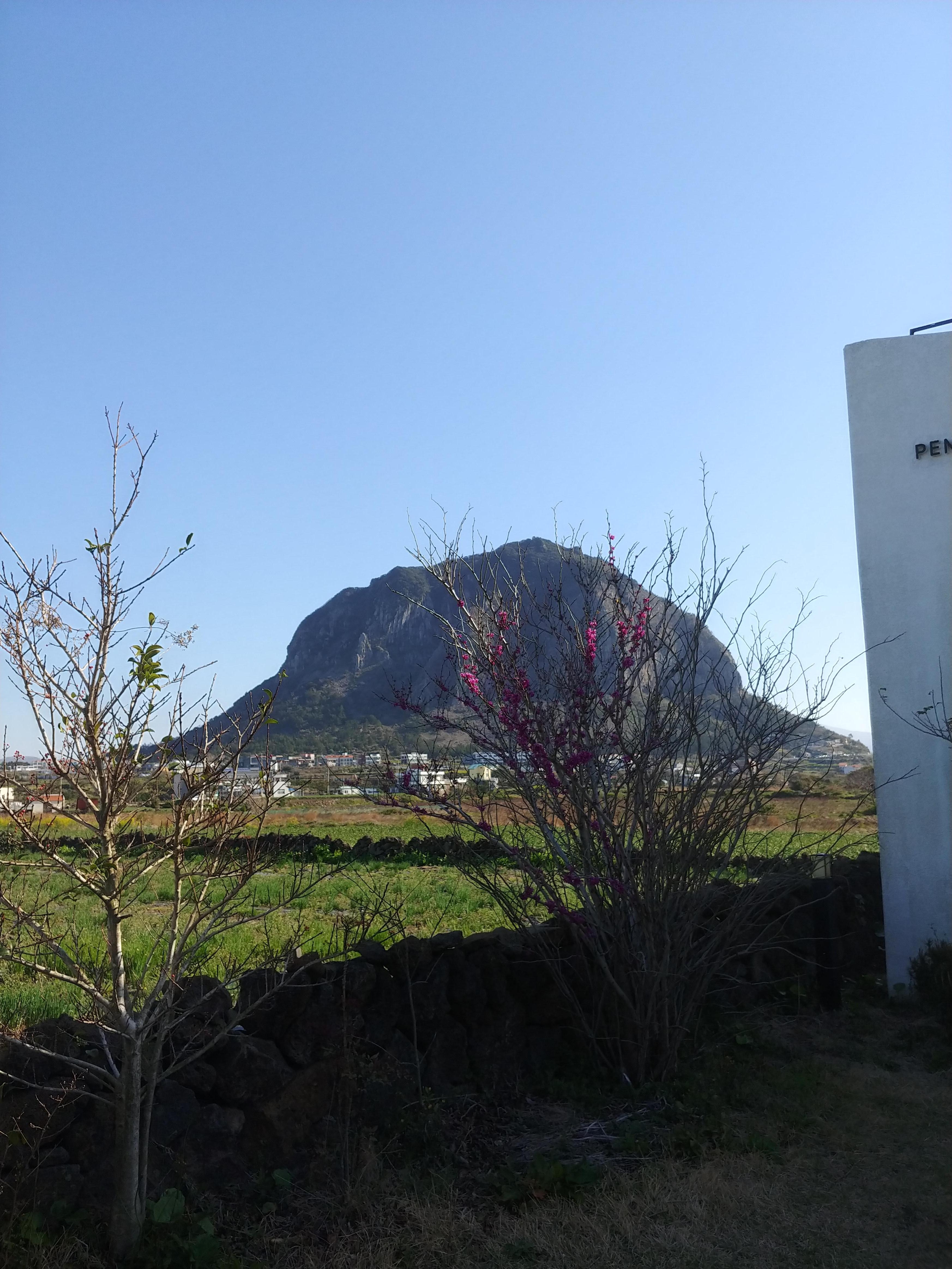 옆에서 보이는 뷰