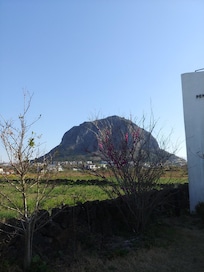 옆에서 보이는 뷰