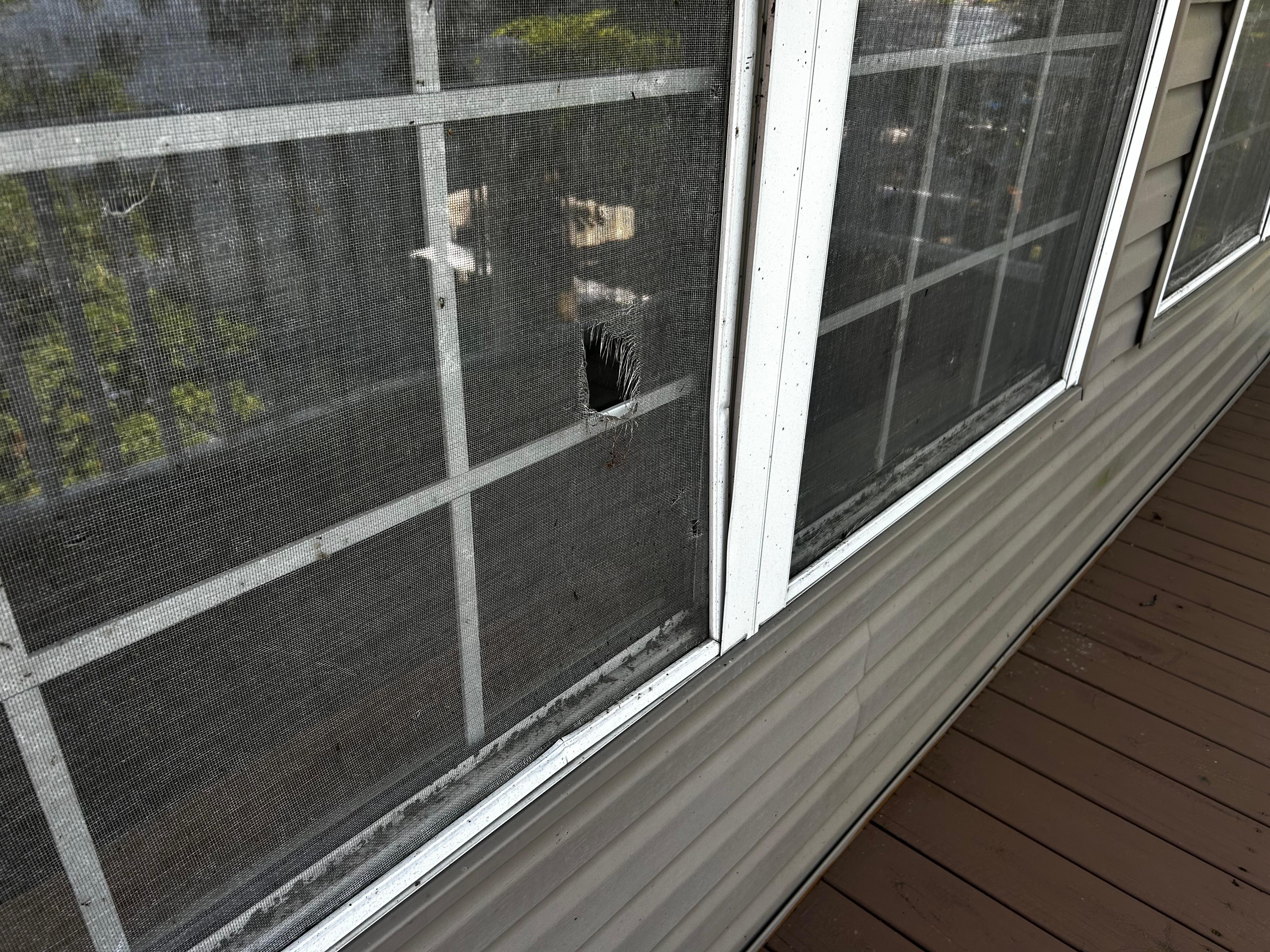 Window screens need replaced and windows cleaned