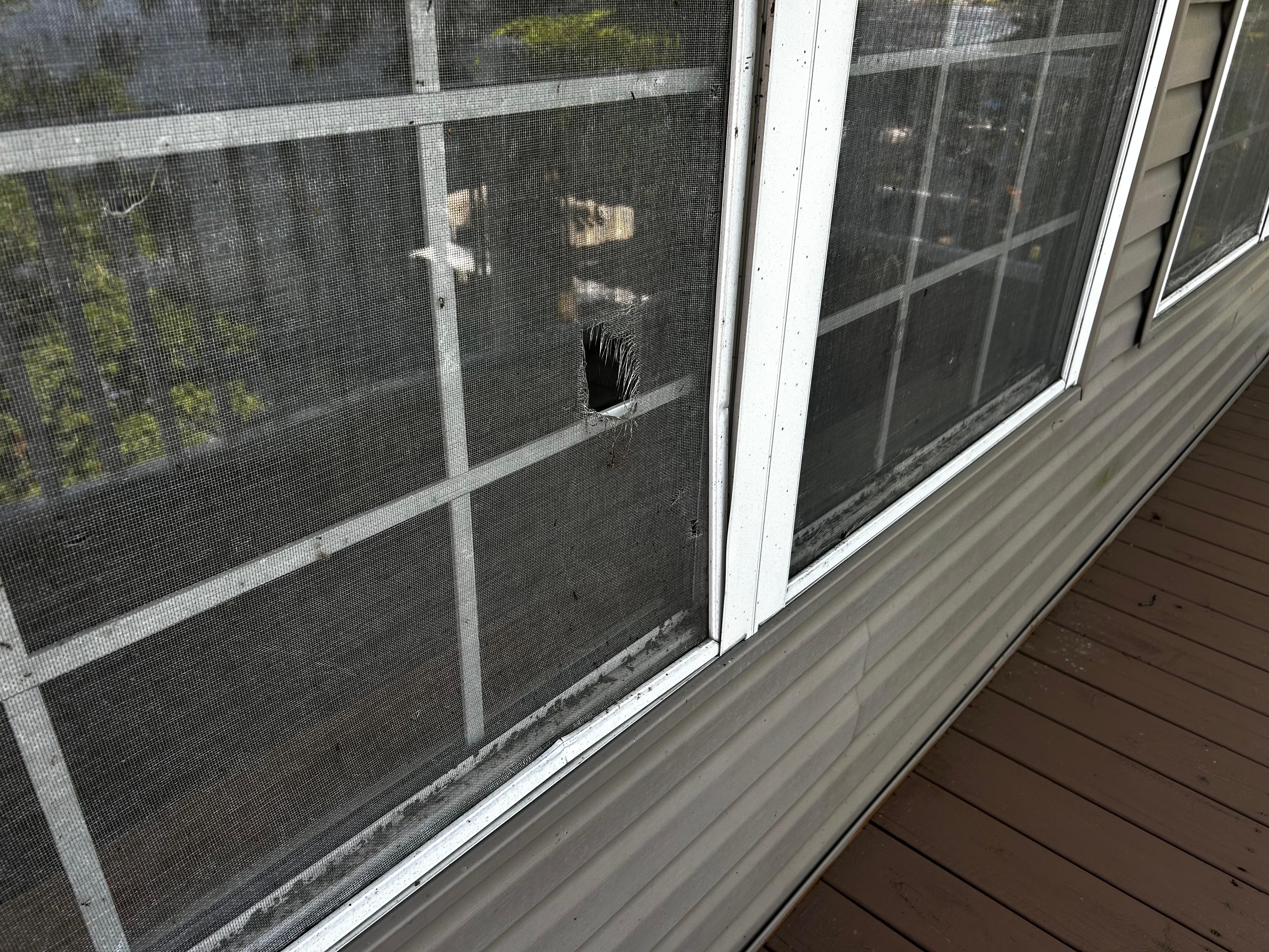 Window screens need replaced and windows cleaned