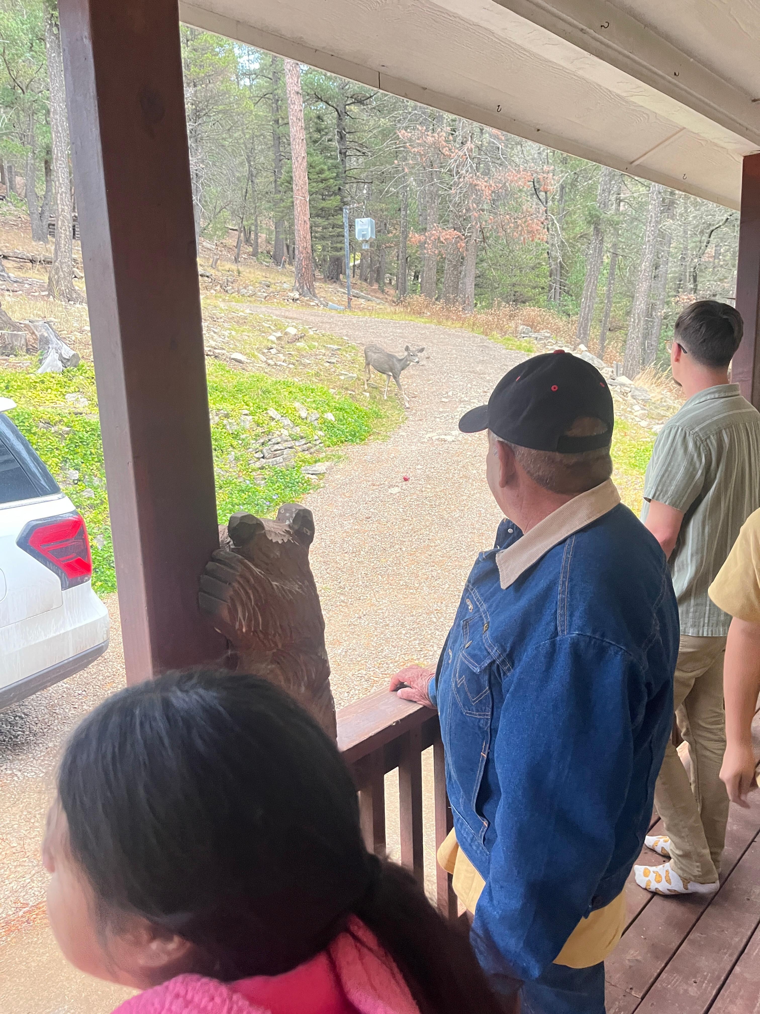 Enjoying wildlife on the porch.